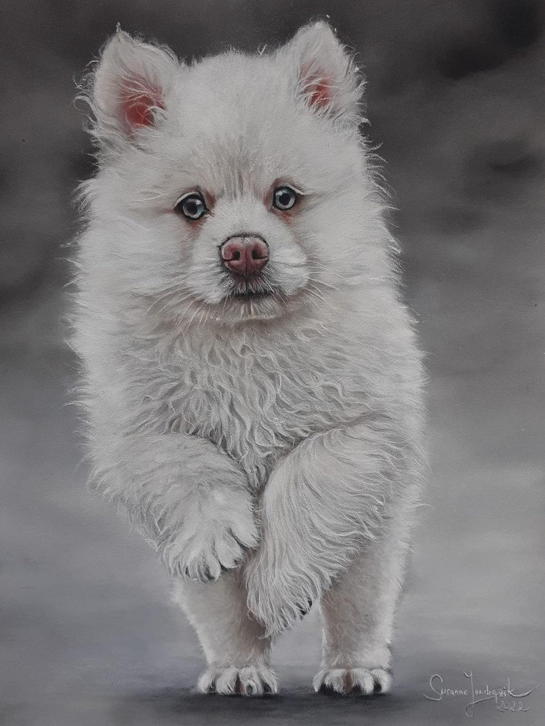 Clairefontaine 96157C Packung (mit 5 Zeichenbögen Pastelmat, 50 x 70 cm, 360 g, ideal für Trockentec