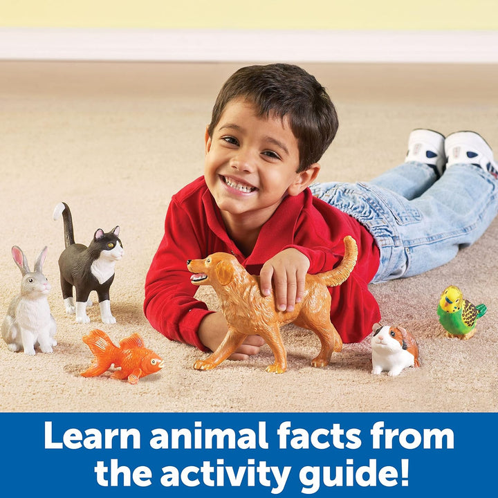 Learning Resources Grosse Haustiere