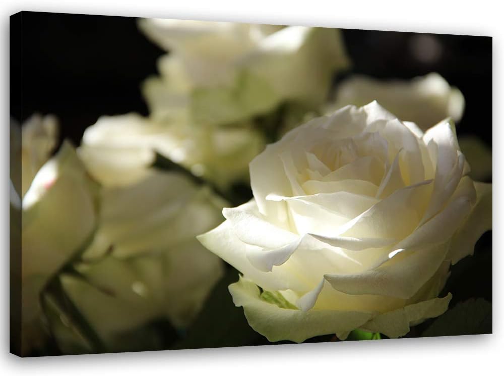 Feeby Bilder Blumen Weisse Rosen 90x60 cm 1Teilig Wohnzimmer Schlafzimmer Modern Wandbilder Bild auf