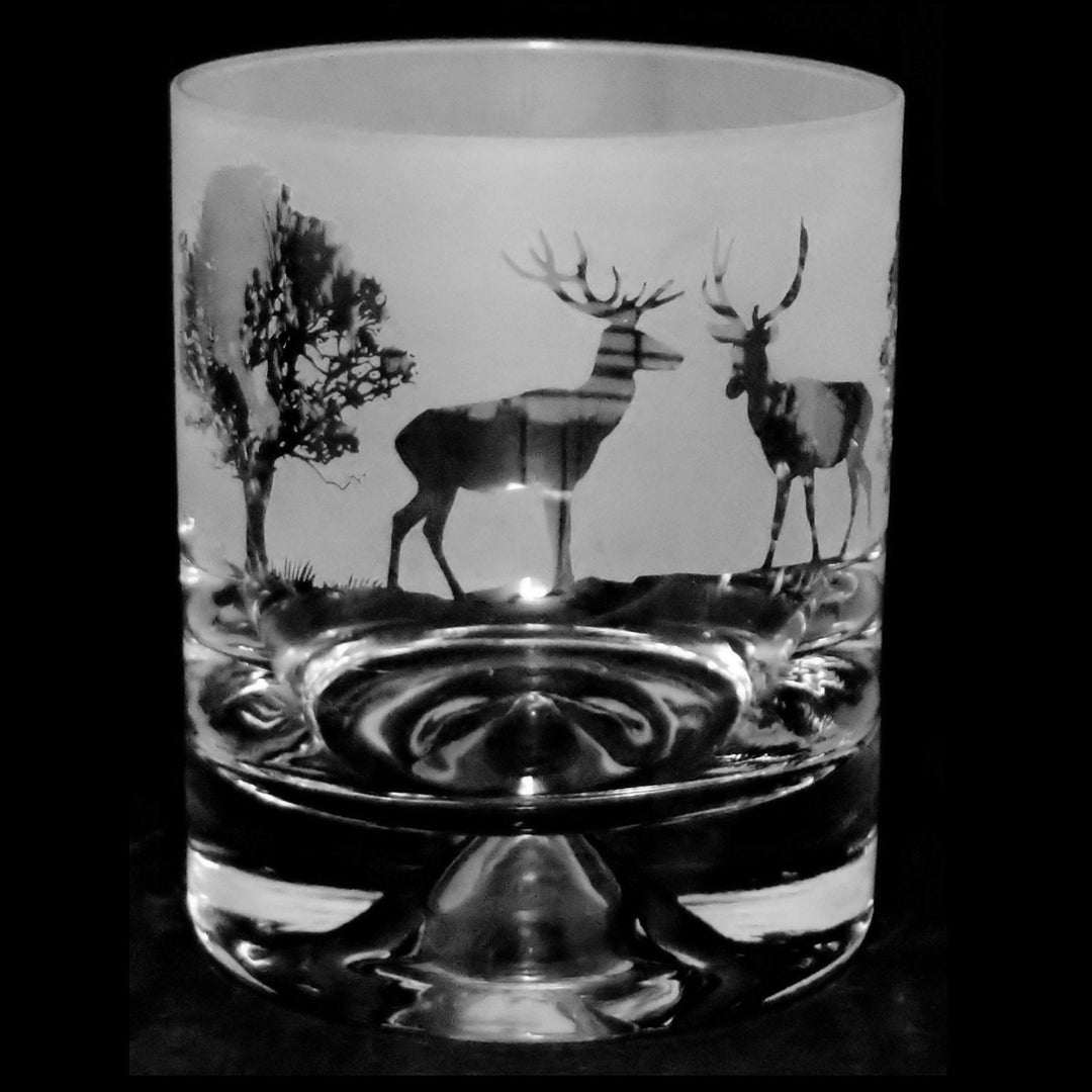 Animo Glass Woodland Whiskyglas