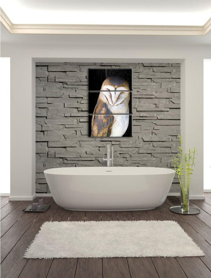 Pixxprint Schleiereule Schwarz/Weiss 3-Teiler Leinwandbild 120x80 Bild auf Leinwand