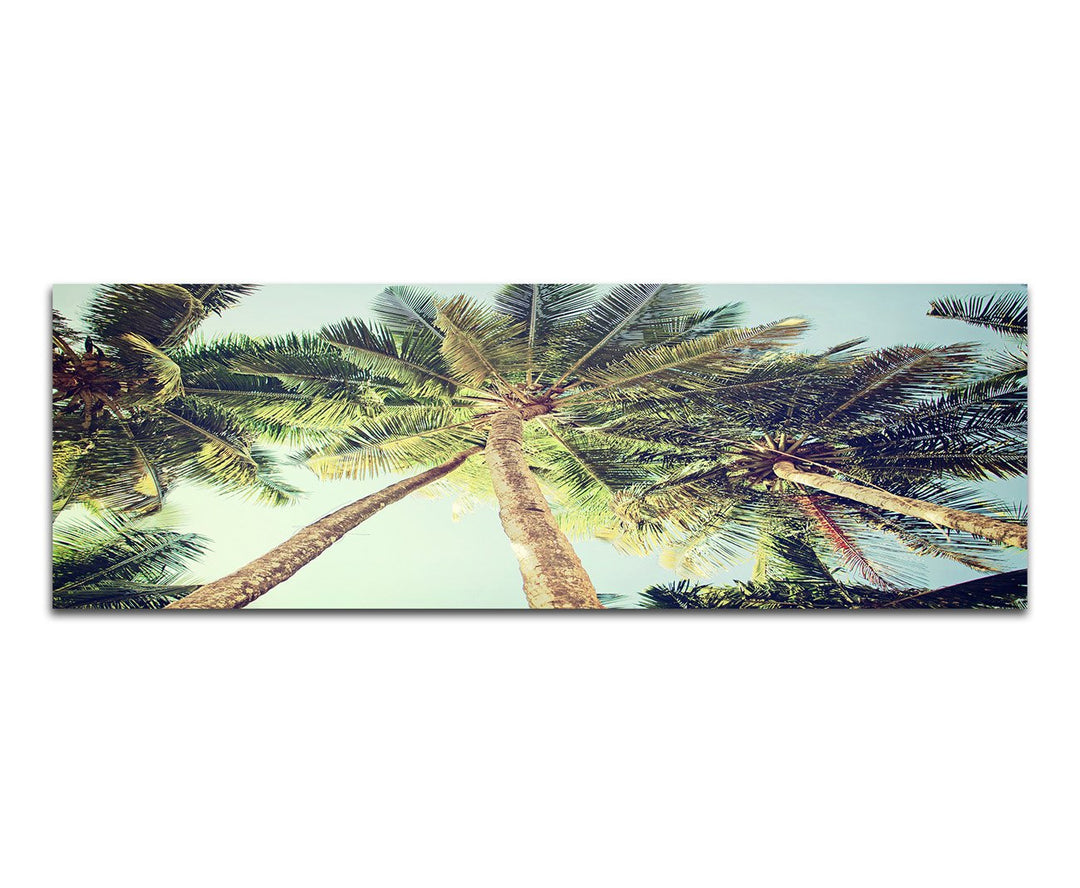 Paul Sinus Art Panoramabild auf Leinwand und Keilrahmen 150x50cm Palmen Himmel Vintage