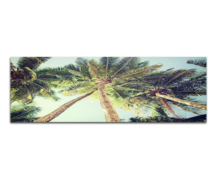 Paul Sinus Art Panoramabild auf Leinwand und Keilrahmen 150x50cm Palmen Himmel Vintage