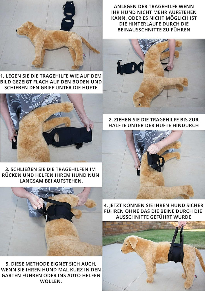 Hunde Tragehilfe XL Blau/ Hunde Gehhilfe / Hunde Rehahilfe, das Hilfsgeschirr für Probleme an der Wi