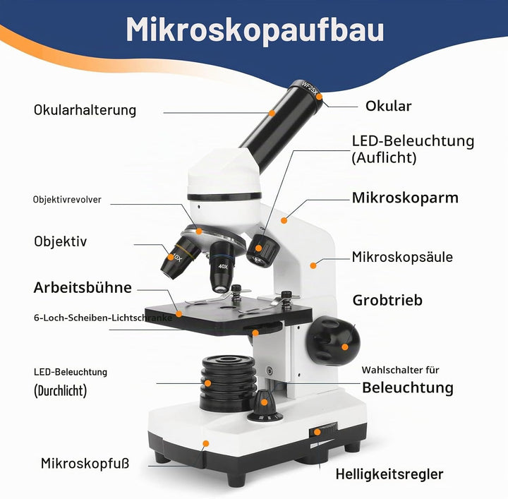 Mikroskop für Kinder Erwachsene 100X-1000X mit Objektträger Set, Dual-LED-Beleuchtung,Professionelle