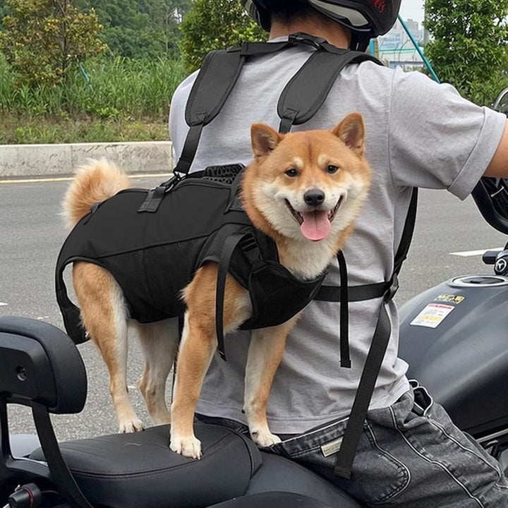 Ziyonix Haustier-Tragerucksack mit Tragegriff, Hunde Hebegeschirr, Hundeschlinge für Ältere Hunde, H