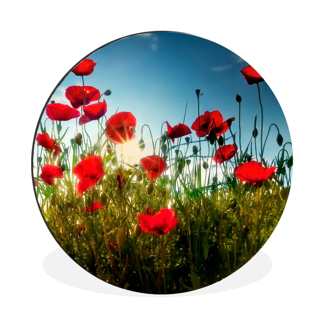 MuchoWow Wandbild Rund Wanddeko Deko Wohnzimmer Bilder 90x90 cm Mohnblumen - Toskana - Sonne - Rot -