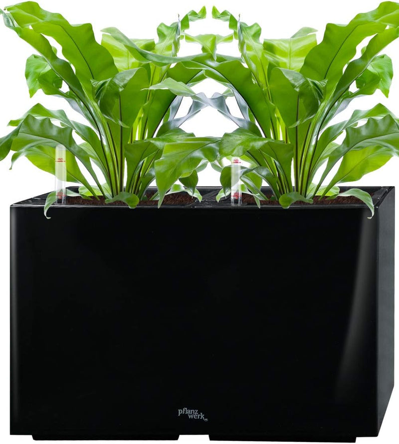Pflanzwerk® ÖKOSYSTEM Pflanzkübel TUB - Blumentöpfe Übertöpfe mit BEWÄSSERUNGSSYSTEM - 32x56x28cm Sh