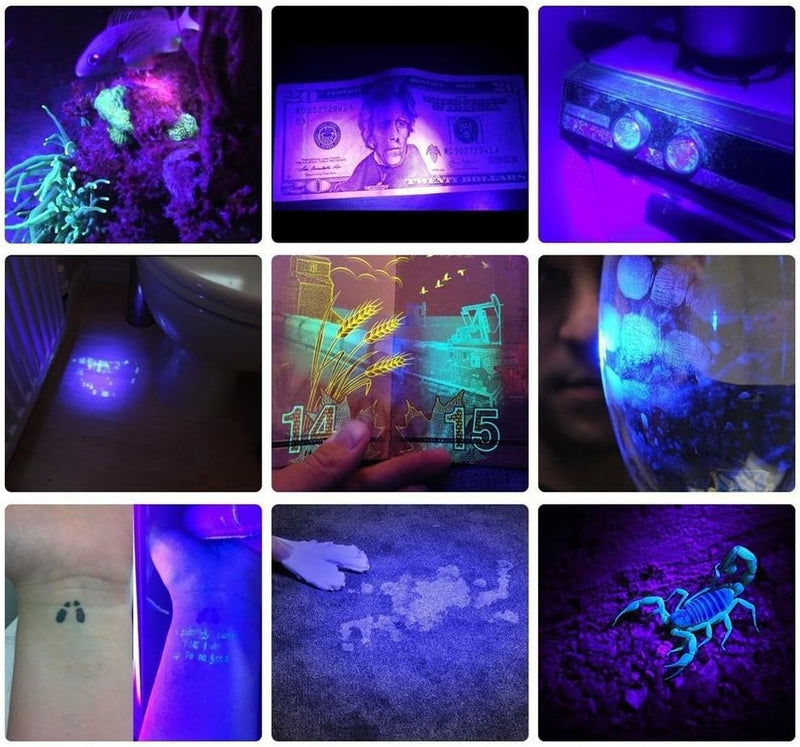 Alonefire X901UV 10W 365nm UV Taschenlampe Tragbar USB Aufladbar Schwarzlicht Taschenlampe Haustier