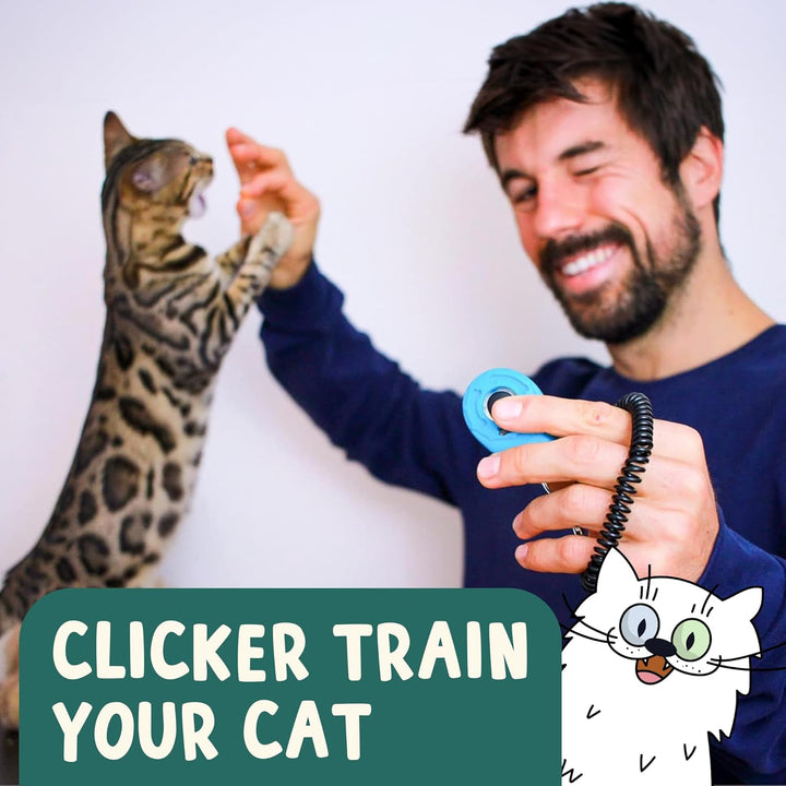 OutdoorBengal The Click Crusade (Cat Training Card Game Guide to Clicker Training for Cats for Teach