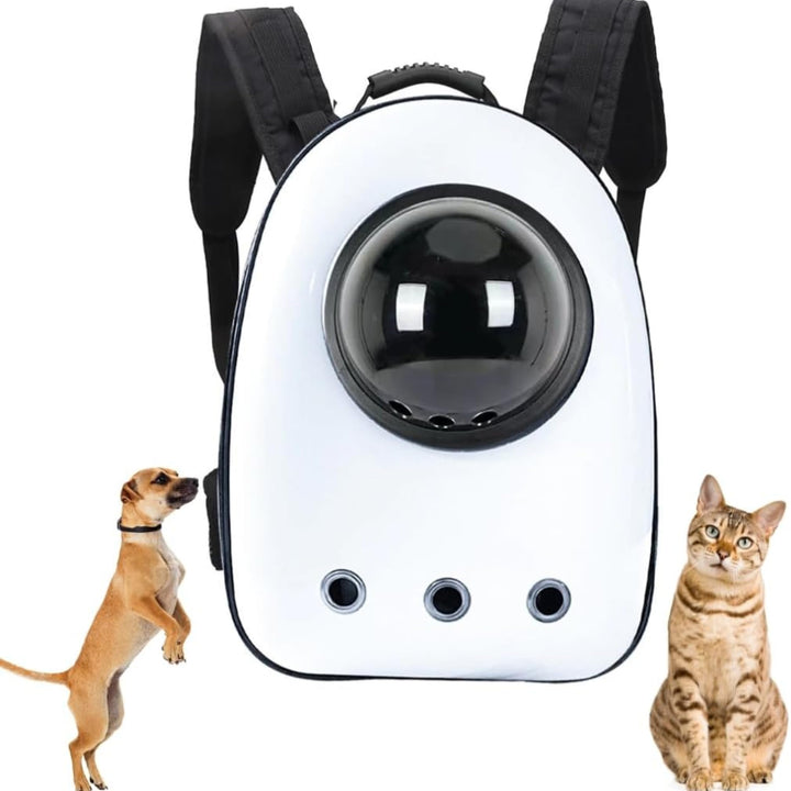PARENCE - Transportrucksack für kleine Hunde und Katzen - Moderne Tasche mit transparentem Fenster,