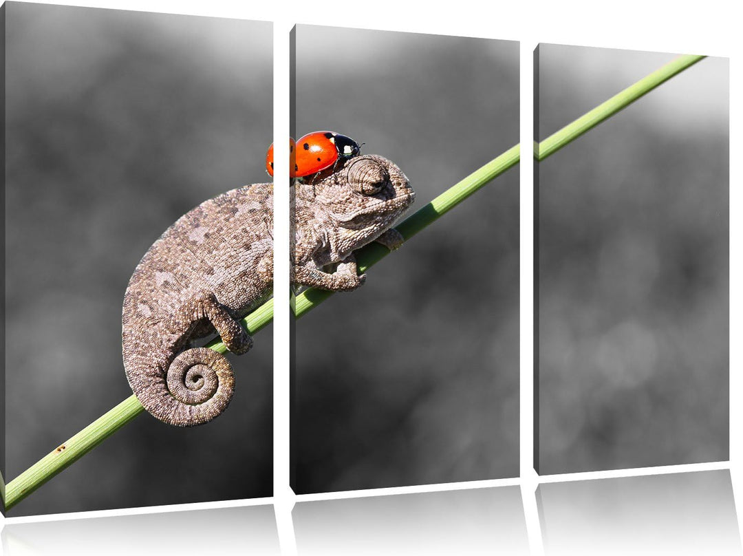 Pixxprint Süsser Gecko mit einem Marienkäfer als Leinwandbild | Grösse: 3 Teilig (120x80) | Wandbild