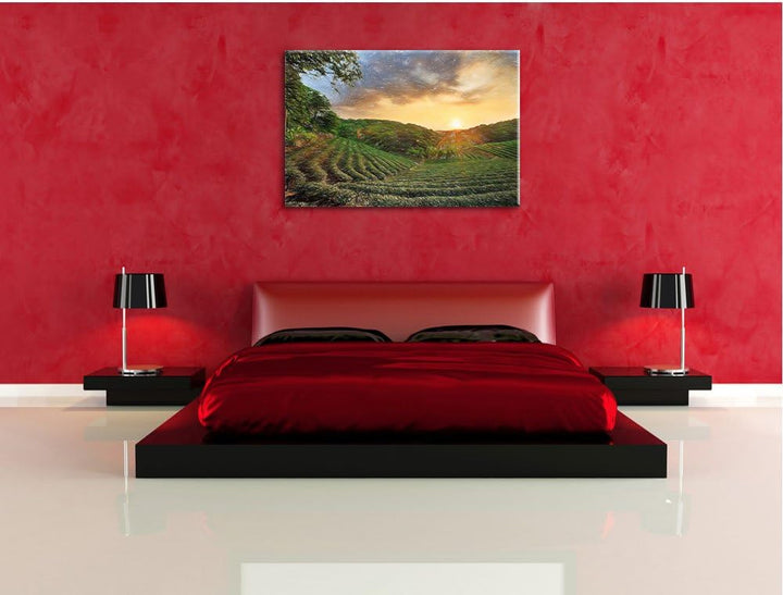 Pixxprint Teeplantage bei Sonnenuntergang / 100x70cm Leinwandbild bespannt auf Holzrahmen/Wandbild K
