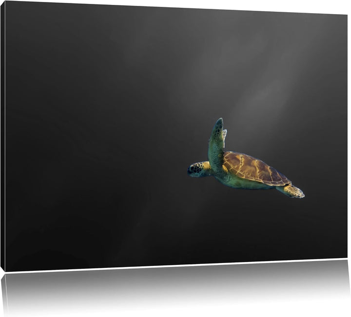 einsame Schildkröte im Meer schwarz/weiss Format: 100x70 auf Leinwand, XXL riesige Bilder fertig ger