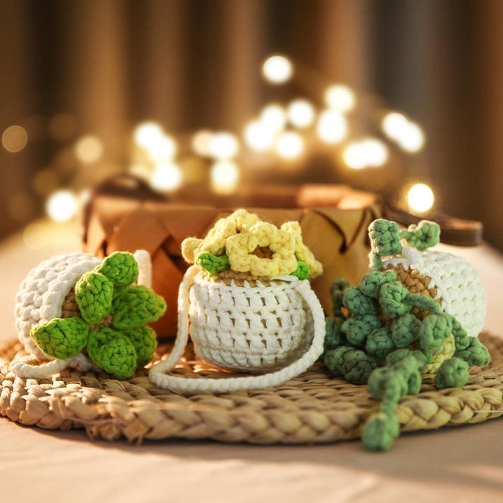 CrochetBox Komplettes Häkelset für Anfänger, Hängepflanze Häkelset, Video-Tutorial einbeziehen, Anle