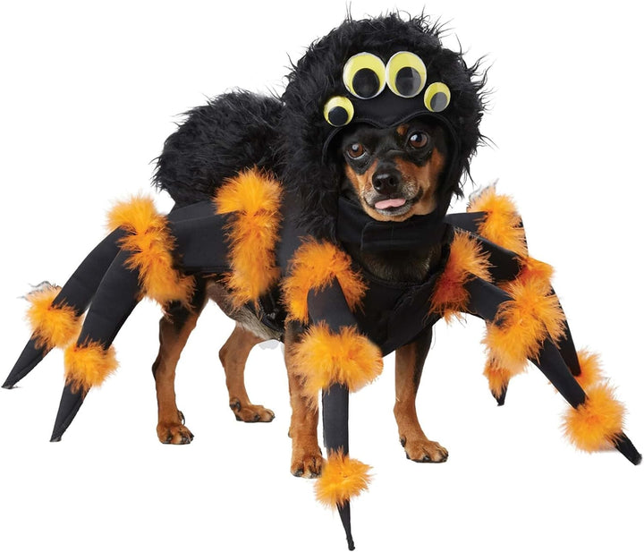 California Costumes Collections PET20149 Spinnenkostüm für Hunde, XS Siehe Abbildung XS, Siehe Abbil