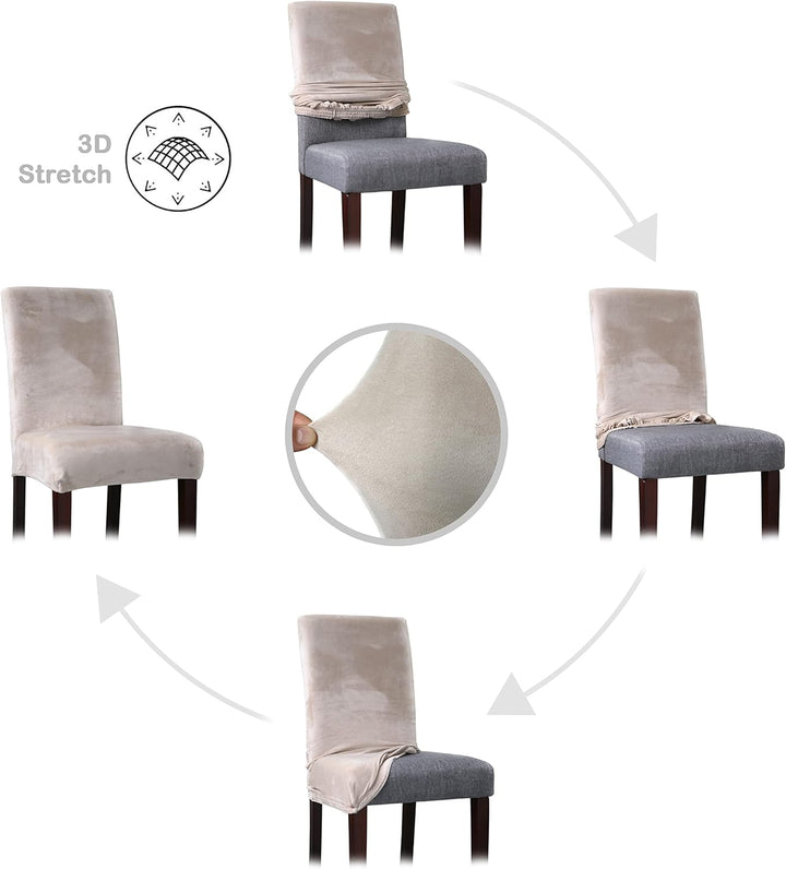 BEAUTEX 6er Set LEA Stuhlhusse, elastische Uni Stretch-Husse aus Samt Mikrofaser Farbe wählbar (Crem