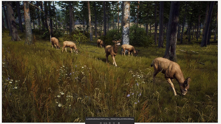 Way of The Hunter
