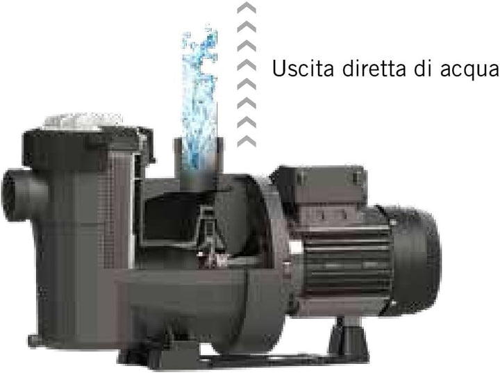 Fluidra 65565 – Pumpe Victoria Plus Silent 1.5 cv trifasica