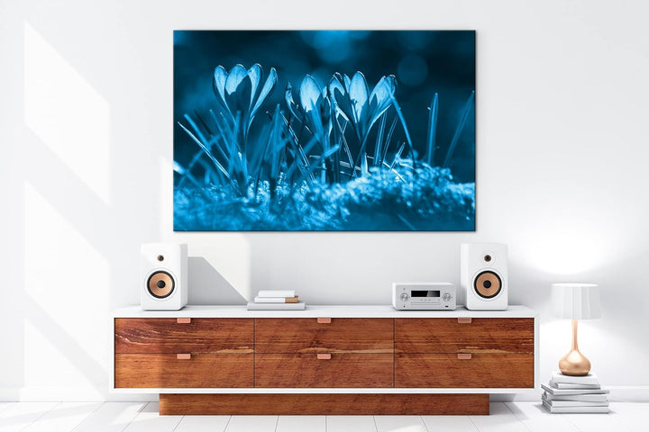deyoli beeindruckende Krokusse im Frühling Format 80x60 Effekt: Monocrome Blau als Leinwandbild, Mot