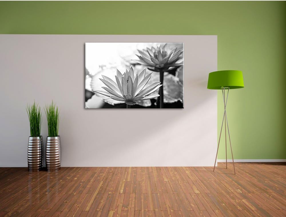 Pixxprint Lilafarbene Wasserlilie Kunst B&W, Format: 100x70 auf Leinwand, 100x70