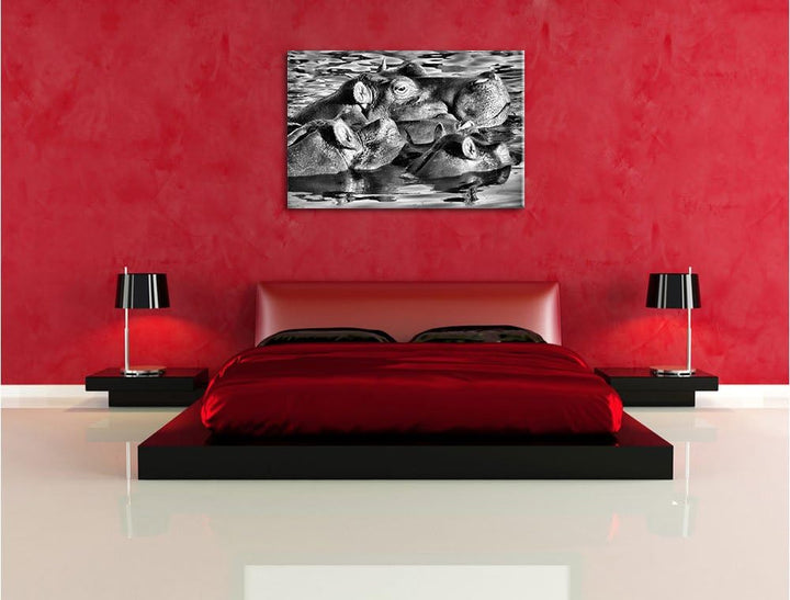 Pixxprint schwimmende Flusspferdfamilie als Leinwandbild/Grösse: 100x70 / Wandbild/Kunstdruck/fertig