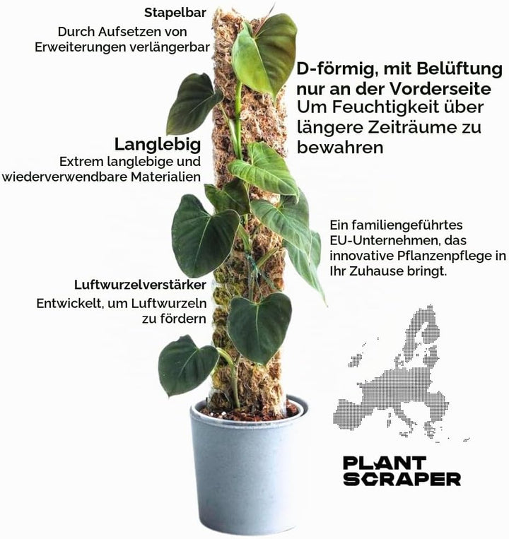 XL Moosstab für Monstera 4 Stück 63 x 9.5 cm - Erweiterbare Rankhilfe &amp; Zubehör-Set - Pflanzstäbe mi