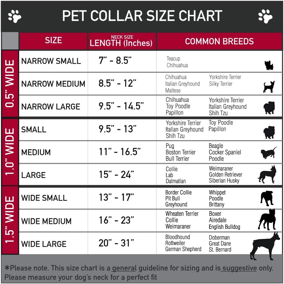 Buckle-Down PC-W30693-WM Flag Gay Pride Rainbow Plastic Clip Collar, Wide Medium/16-23 1.5" Wide - F