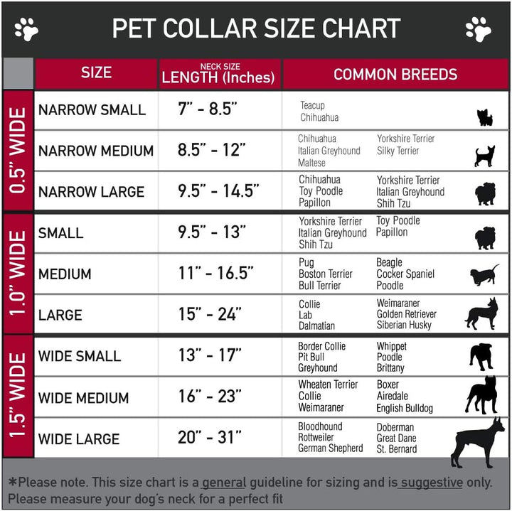 Buckle-Down PC-W30693-WM Flag Gay Pride Rainbow Plastic Clip Collar, Wide Medium/16-23 1.5" Wide - F