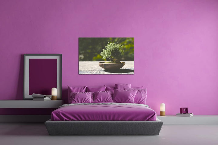 deyoli kleiner niedlicher Bonsai Format: 80x60 als Leinwandbild, Motiv fertig gerahmt auf Echtholzra