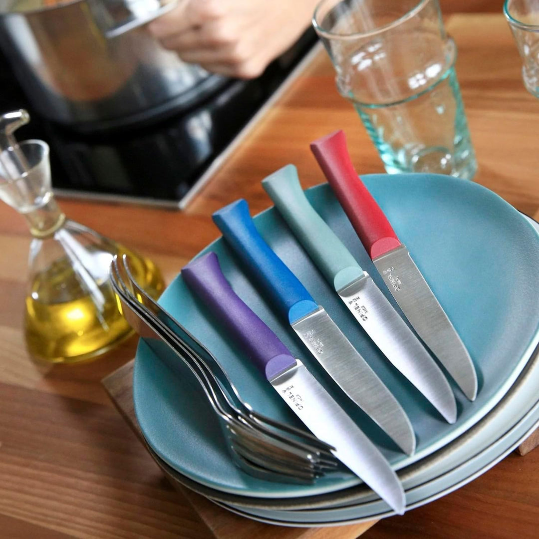Opinel Bon Appetit+ Glam, 254501 Tafelmesser-Set, Stahl, Mehrfarbig