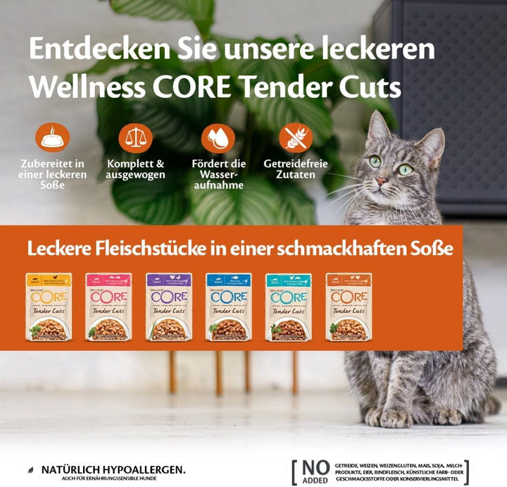 Wellness CORE Tender Cuts, Katzenfutter nass in Sauce, getreidefrei, hoher Fleischanteil, Lachs & Th