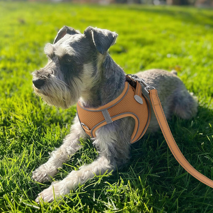 Joytale Hundegeschirr, Reflektierend Weich Gepolstert Hunde Geschirr, Air-Mesh Atmungsaktiv Brustges