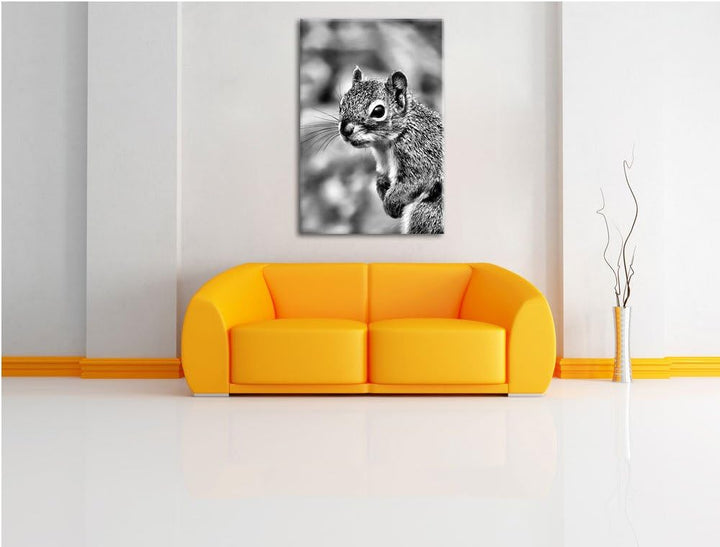 Pixxprint kleines wachsames Eichhörnchen als Leinwandbild | Grösse: 100x70 cm | Wandbild | Kunstdruc