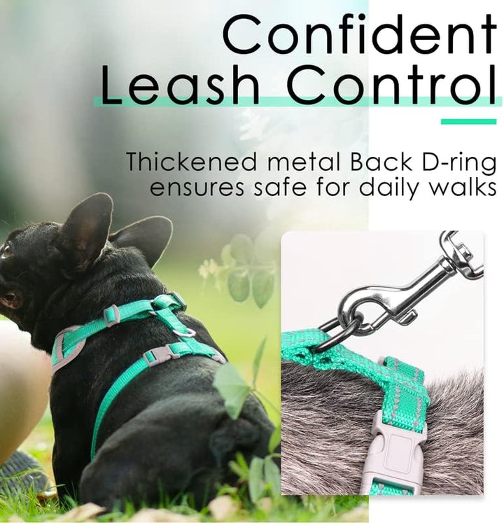 ThinkPet No-Pull Hundegeschirr Leine Set, Atmungsaktiv Brustgeschirr für Kleine Mittlere Grosse Hund