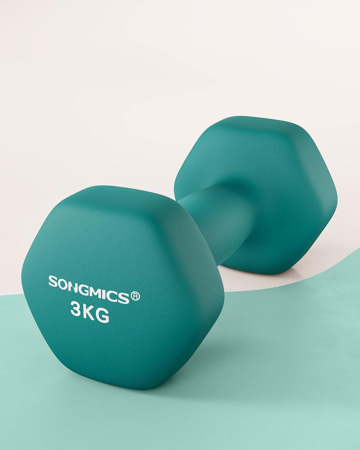 SONGMICS Hanteln, 2er Set,Hantelset, Kurzhanteln, Hexagon, Neopren-Beschichtung, Krafttraining, Work