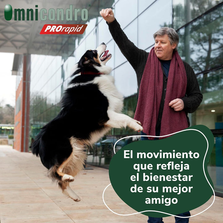 Hifarmax OMNICONDRO PRORAPID Perros 60CPD, Schwarz, Normal