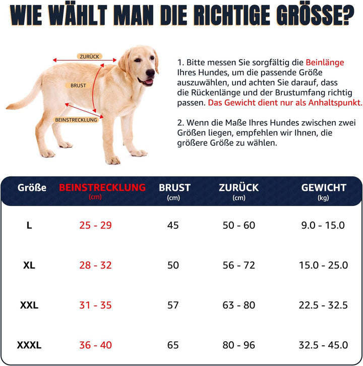 Tragehilfe für mittelgrosse grosse Hunde, atmungsaktive Tragetasche Hund mit Gurten &amp; Haltegriff für