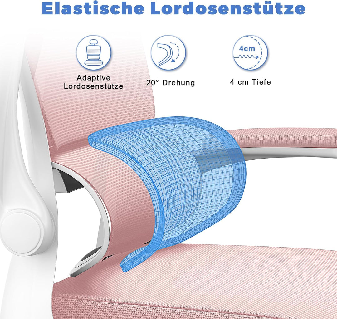 naspaluro Ergonomischer Bürostuhl: Schreibtischstuhl mit C-förmiger Lordosenstütze,Verstellbarer Kop