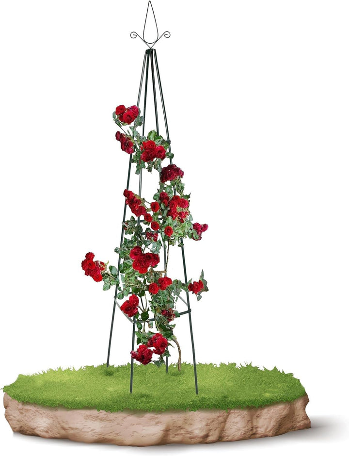 anaterra® Rosenbogen - Set, 2 Stück, Freistehend, Stabil, Metall, Grün - Rankhilfe, Gartenbogen, Ran