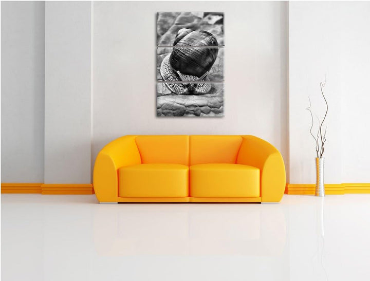 Pixxprint Weinbergschnecke auf Blatt als Leinwandbild/Grösse: 3 Teilig (120x80) cm/Wandbild/Kunstdru