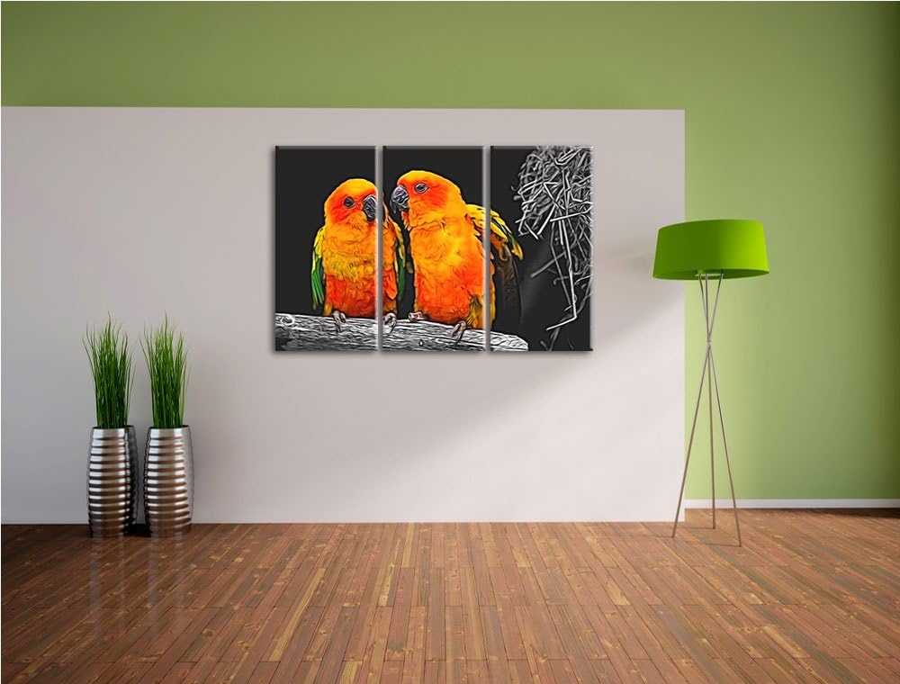 zwei niedliche Sonnensittiche schwarz/weiss Deluxe 3-Teiler Leinwandbild 120x80 Bild auf Leinwand, X