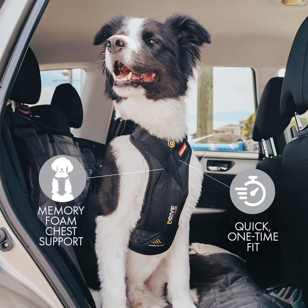 EzyDog Sicherheitsgeschirr Hund - Drive Crash-Getestet Hundegeschirr - Bestes Hundegeschirr fürs Aut