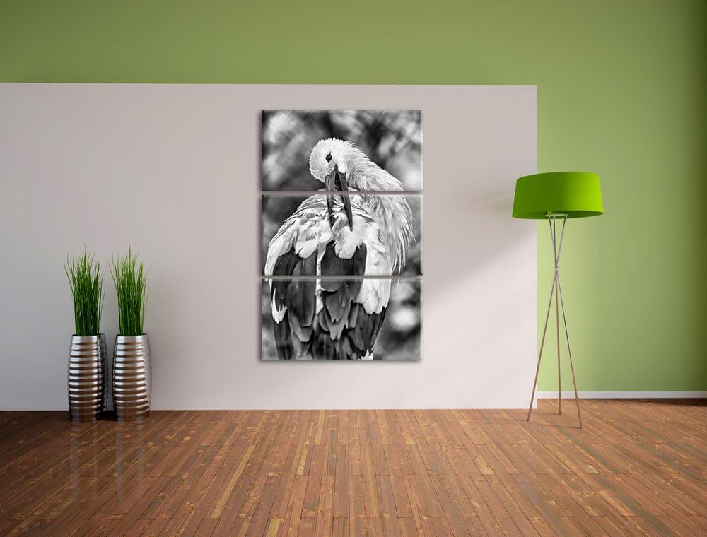 Pixxprint Storch putzt Sich als Leinwandbild/Grösse: 3 Teilig (120x80) cm/Wandbild/Kunstdruck/fertig