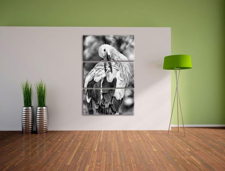 Pixxprint Storch putzt Sich als Leinwandbild/Grösse: 3 Teilig (120x80) cm/Wandbild/Kunstdruck/fertig