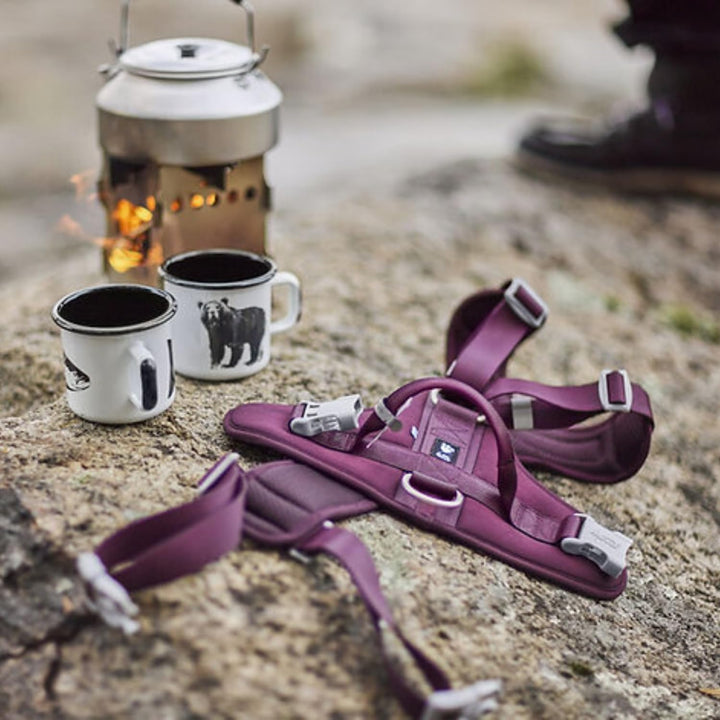 Hurtta Weekend Warrior Hundegeschirr II ECO (Eggplant, lila, 65-80 cm) eggplant, lila 65-80 cm, eggp