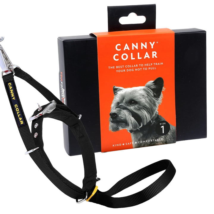 Canny Dog Collar Black Grösse 1 Schwarz Grösse 1 - Halsumfang 23-28cm, Schwarz Grösse 1 - Halsumfang