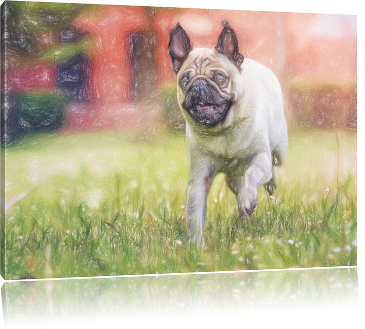 Pixxprint Rennender Mops als Leinwandbild/Grösse: 100x70 cm/Wandbild/Kunstdruck/fertig bespannt, 100