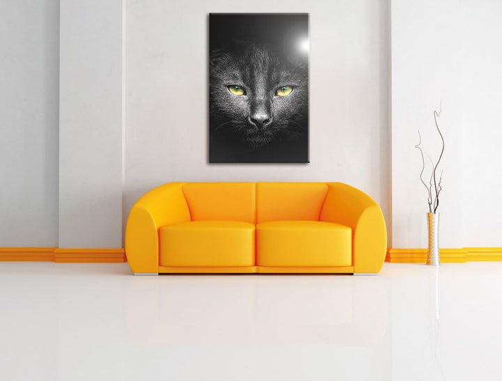 Pixxprint Katzenkopf mit düsterem Hintergrund als Leinwandbild/Grösse: 100x70 cm/Wandbild/Kunstdruck