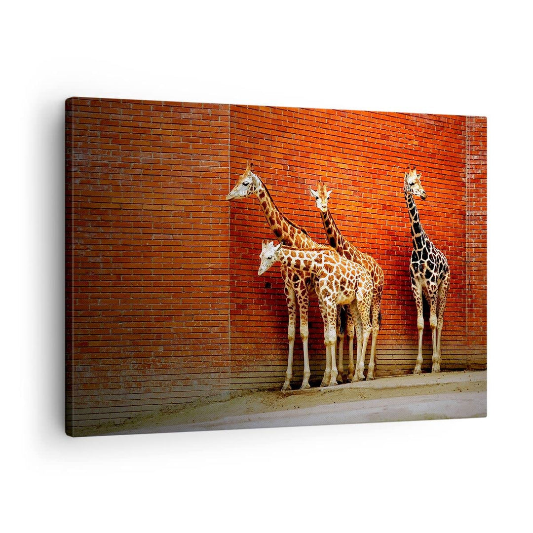 Bilder auf Leinwand Tiere Giraffen Zoo Familie Leinwandbild 70x50cm Wandbilder Dekoration Wohnzimmer